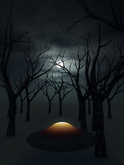 Image showing UFO In The Forest 