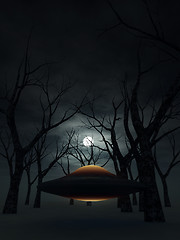 Image showing UFO In The Forest 