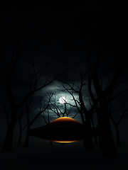 Image showing UFO In The Forest 