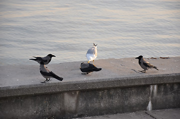 Image showing food almost gone