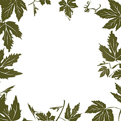 Image showing Grape leaf frame