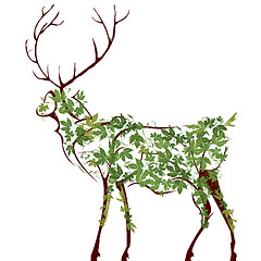 Image showing Deer illustration