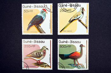 Image showing Birds stamps