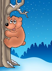 Image showing Cute bear climbing tree