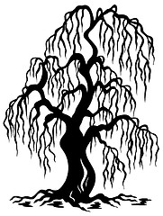 Image showing Willow tree silhouette