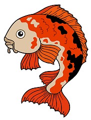 Image showing Koi fish