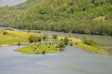 Image showing valley landscape