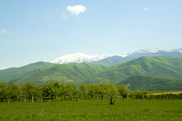 Image showing snow meeting spring