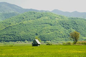 Image showing nature surrounds you