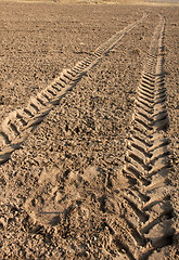 Image showing Tractor trail