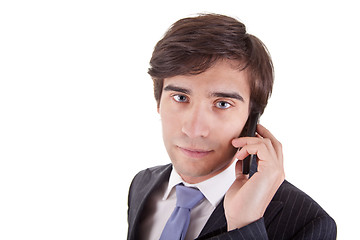 Image showing businessman on the phone