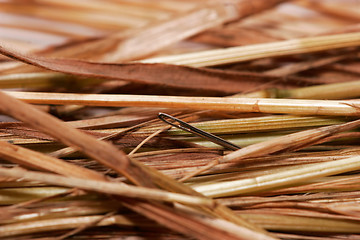 Image showing a needle in a haystack