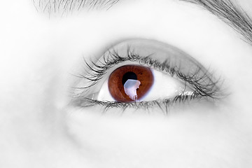 Image showing Great big  brown eye