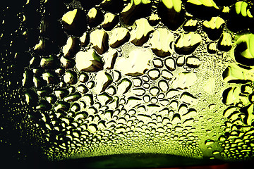 Image showing Green drops of water - light from backside. Macro