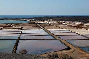 Image showing Salt Production