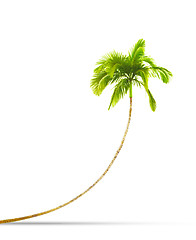 Image showing palm tree