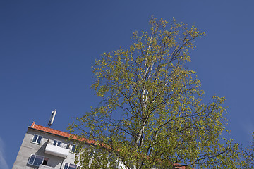 Image showing Early spring in town