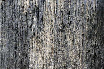 Image showing Wooden Texture