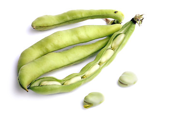 Image showing Broad bean pods and two beans