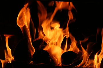 Image showing Burning Logs