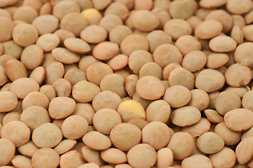 Image showing green lentil background