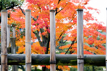 Image showing Garden fence