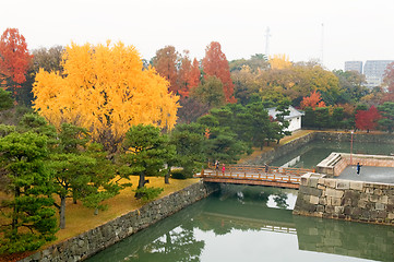 Image showing Moat at Nijo Castle