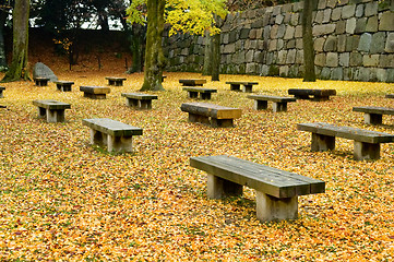 Image showing Bench in garden