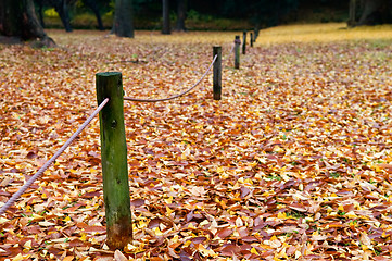 Image showing View of pole fence