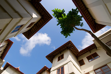 Image showing Underside view of constructions