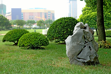 Image showing Manicured bush and stone