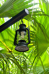 Image showing Lantern in lush green garden
