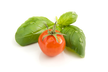 Image showing cocktail tomato basil