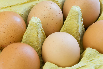 Image showing eggs carton
