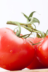 Image showing fresh tomatoes