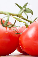 Image showing fresh tomatoes