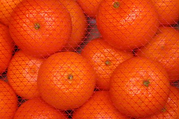 Image showing Mandarin oranges