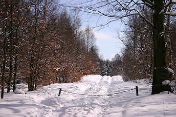 Image showing winter