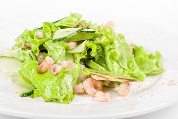 Image showing seafood salad