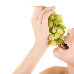 Image showing grape