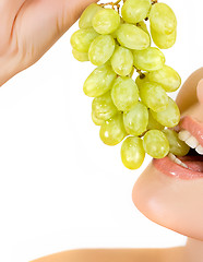 Image showing grape