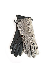 Image showing leather reptile gloves