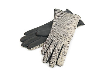 Image showing Grey female reptile leather gloves