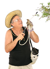 Image showing Gardener Spraying Plants