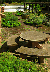 Image showing Large herb garden