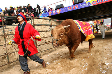 Image showing Farmer and bull