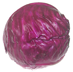 Image showing Red cabbage 2