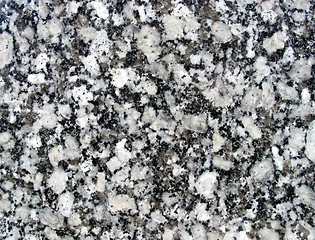 Image showing Black white marble