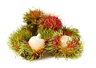 Image showing exotic Thai fruit Rambutan or Ngo
