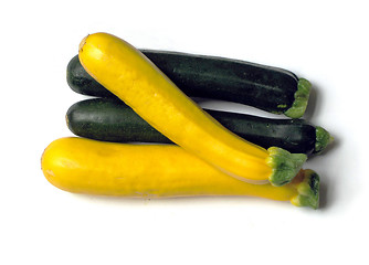 Image showing Squash